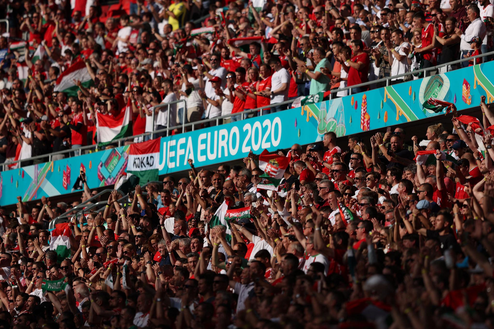 你希望我怎 你希望我怎